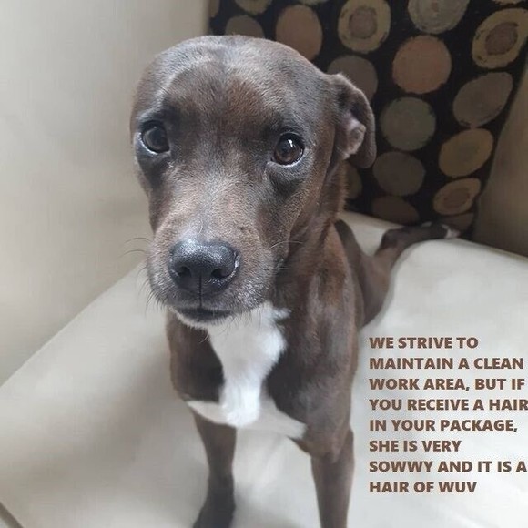 Men's Shirt Size Large L Mossy Oak Green Long Sleeve Button Up Break-Up Infinity - Picture 8 of 8